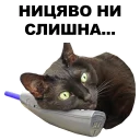 Sticker Переговоры @eeZee_stickers - 0