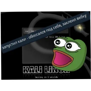 Стикер AL | PENTEST - 6