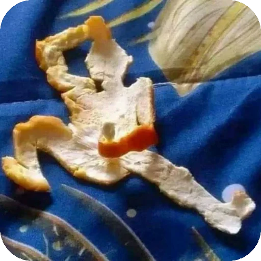 AL EX فراولة 🍓 - 