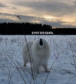 Стикер Пак создан в @moyi_stikery_bot - 10