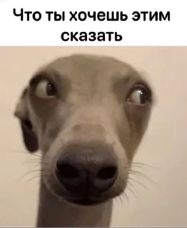 Стикер Пак создан в @moyi_stikery_bot - 8