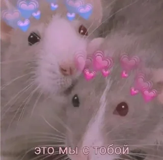 Стикер Пак создан в @moyi_stikery_bot - 2