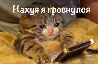 Стикер Пак создан в @moyi_stikery_bot - 0