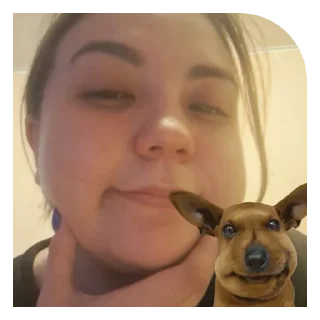 Sticker @SSD_NVMe 🏹🤍 @rusallko - 1