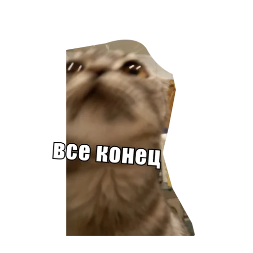 Стикер ANFUSYA - 1