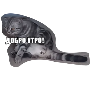 Sticker Анфуся - 3