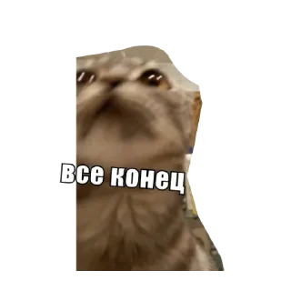 Sticker Анфуся - 9