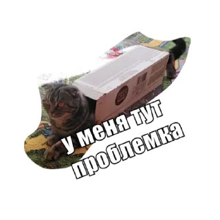 Sticker Анфуся - 4