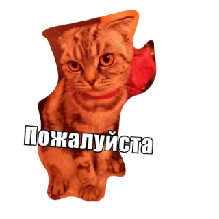 Sticker Анфуся - 5
