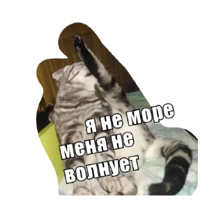Sticker Анфуся - 7