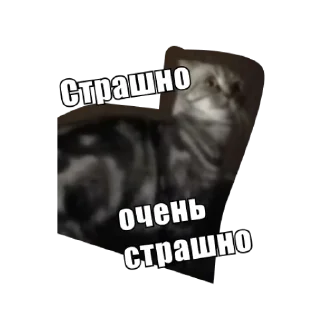 Sticker Анфуся - 8