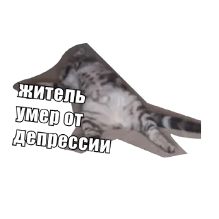 Sticker Анфуся - 0