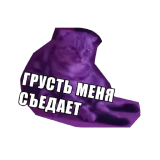 Sticker Анфуся - 2