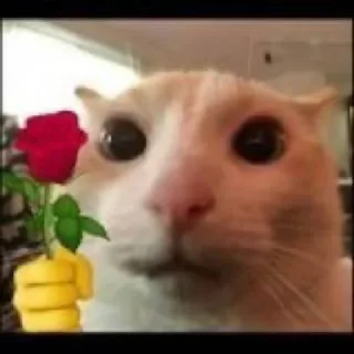 Sticker Избранные • @sticbot - 11