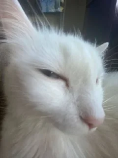 Sticker Избранные • @sticbot - 8