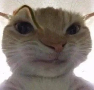 Sticker Избранные • @sticbot - 2