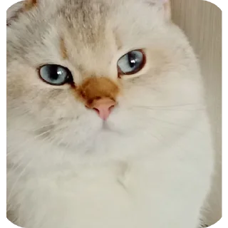 Sticker Избранные • @sticbot - 10