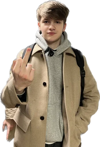 ANTISHIZO STICKERS - 