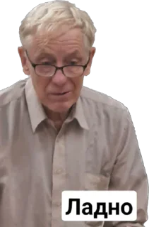 Стикер ANTISHIZO STICKERS - 6