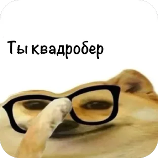 Sticker АНТИ-КВД: @ANTIkvadrobika645 - 1