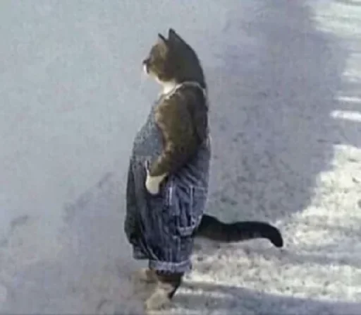 снег на открытом воздухе зима