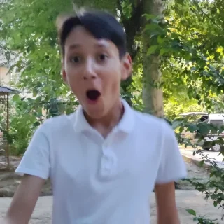 Стикер Мой стикерпак @moyi_stikery_bot - 0