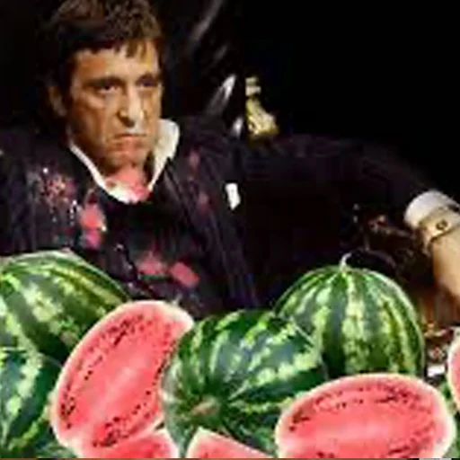 Sticker ARBUZFEST - 1