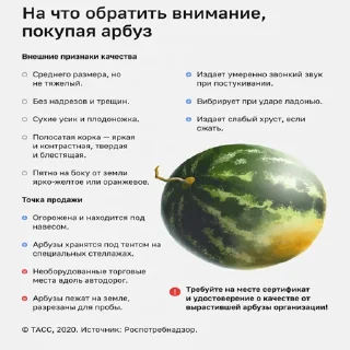 Sticker @tonarbuz ARBUZ 25$ or FUD? - 8