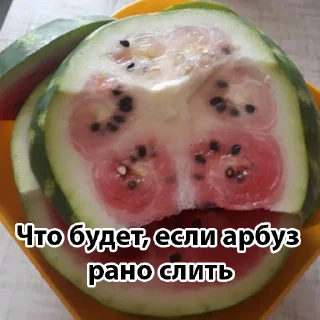 Sticker @tonarbuz ARBUZ 25$ or FUD? - 11