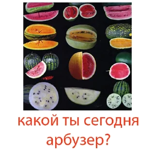 Sticker @tonarbuz ARBUZ 25$ or FUD? - 3