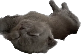 Sticker Мой стикерпак @moyi_stikery_bot - 1