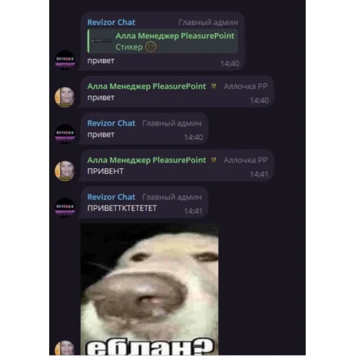 Стикер ARKASHALOX4 - 1