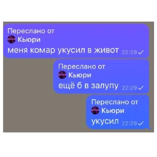 Стикер ARKASHA LOX - 11