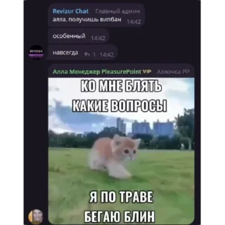 Стикер ARKASHA LOX - 1