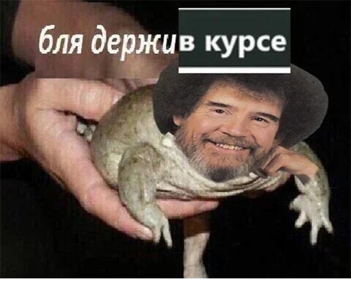 human face animal smile