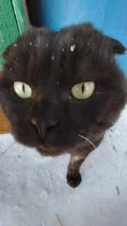 Стикер Пак создан в @moyi_stikery_bot - 6