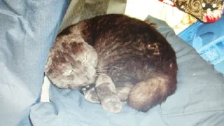 Стикер Пак создан в @moyi_stikery_bot - 10