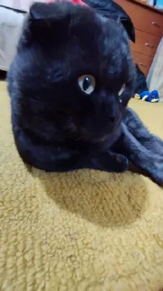 Стикер Пак создан в @moyi_stikery_bot - 7