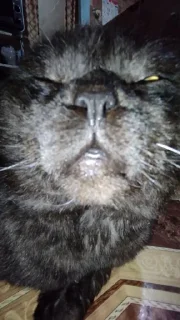 Стикер Пак создан в @moyi_stikery_bot - 3