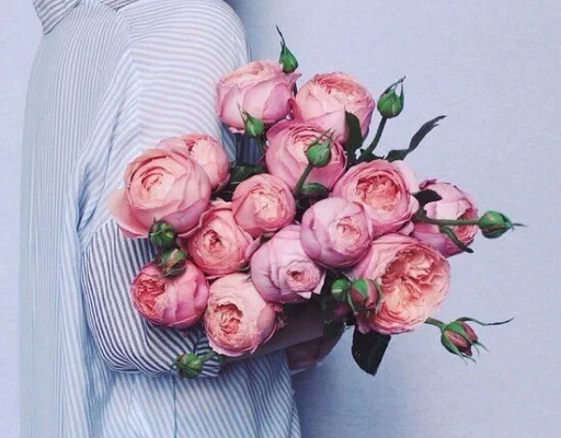 Sticker ASSORTEDnnov2 - 1