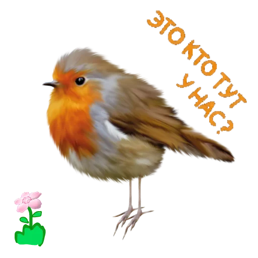 Sticker ASESTWORD STIKERS PARODY 😳🥝 - 8