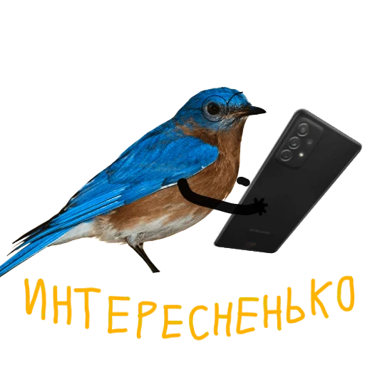 Sticker ASESTWORD STIKERS PARODY 😳🥝 - 4