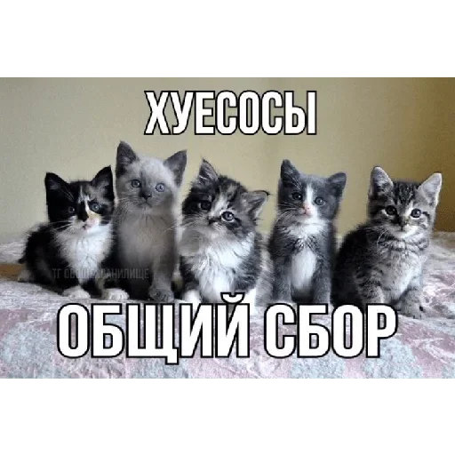 Sticker ATMFVGAtgUhfDCS_by_stickers_stealer_bot - 1