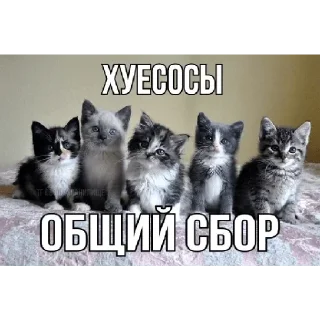 Стикер Больше стикеров 👉🏻 @stickertg4 - 8