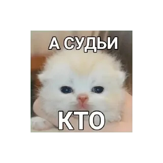 Стикер Больше стикеров 👉🏻 @stickertg4 - 11