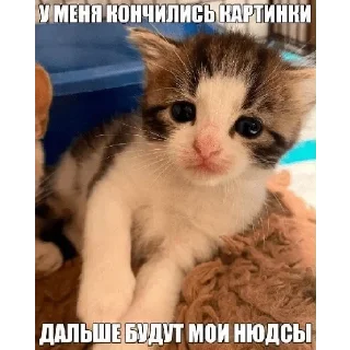 Стикер Больше стикеров 👉🏻 @stickertg4 - 9