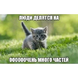 Стикер Больше стикеров 👉🏻 @stickertg4 - 3