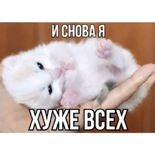 Стикер Больше стикеров 👉🏻 @stickertg4 - 1