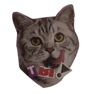 Sticker Больше стикеров 👉🏻 @stickertg4 - 11