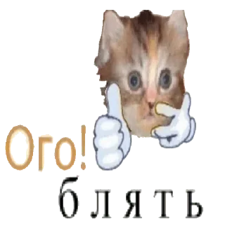 Sticker Стики 5749 из @Anonymnyi_chat_bot - 4